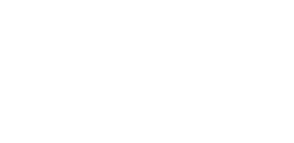light logo